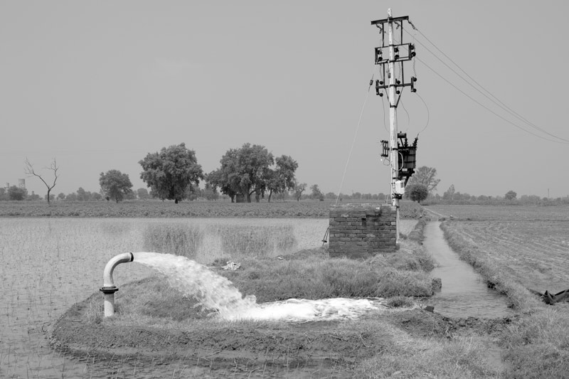 Water sustainability for sustainable agriculture - free electricity supplied for irrigation in Mansa district, Punjab - a policy that must be discouraged in order to save precious groundwater